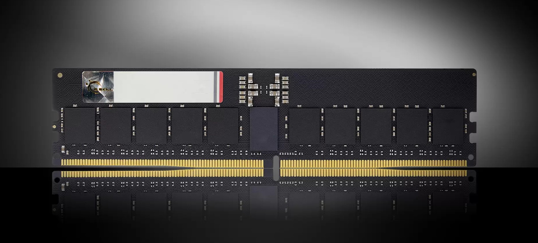 G.SKILL F5-6400R5252A32GX1-G5 32GB/ DDR5 6400 MT/s/ Timings 52-52-52-102/ Voltage 1.10V/Plug-and-Play ECC R-DIMM 5 YEARS WARRANTY
