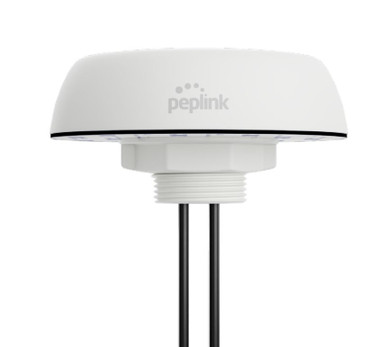 Peplink Mobility 02 (Puma 020), 2xWiFi, 2400-6000MHz, IP68, QMA, White, 1 ft / 0.3m