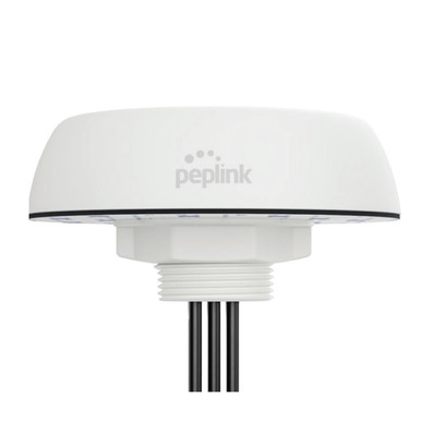 Peplink Mobility 20G (Puma-201-Q-W-1), 2xLTE/5G, 1xGPS, 600-6000MHz, IP68, QMA, White, 1 ft / 0.3m