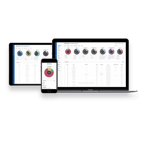 Teltonika RMS Management Pack 12 Months + Extended Warranty 12 Month (Group F)